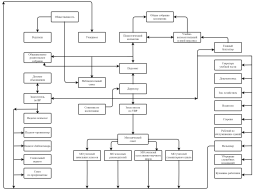Структура образовательной организации
